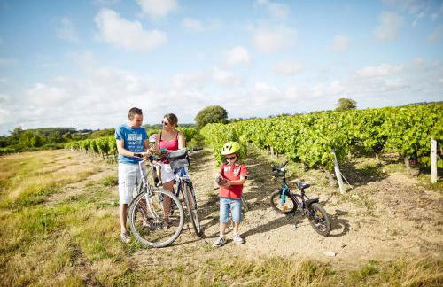 Le Goeland de la Vie - Foto 26