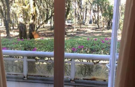 Lindo Studio no Mountain Village - Foto 34