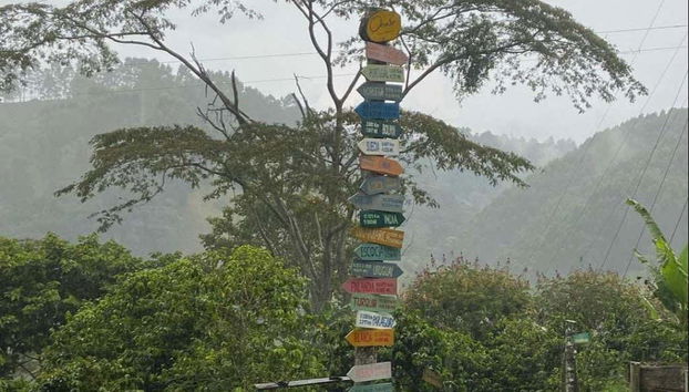 Panneaux de la plantation de café