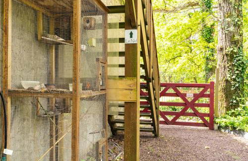 Les Gîtes du Robelier - Le nid - Photo 16