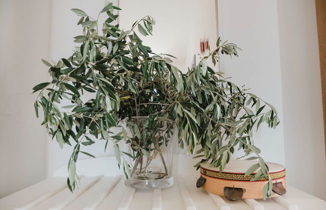 Tenuta Flora Maria - Foto 27