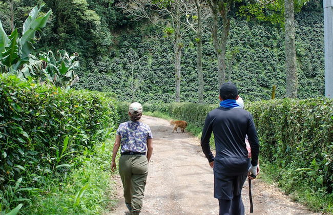 Pradera Ecoliving - Foto 19