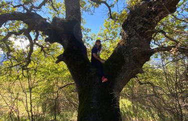 Lou Souleu - Foto 45