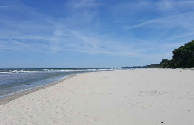 Spacious Apartment in Wieck auf dem Darb - Photo 27