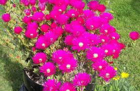 C'era Una Volta - Foto 33