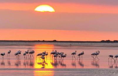 Masia Bernat - Foto 43