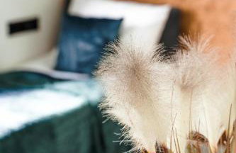 FARIE Mazury Dom na wyłączność dla 20 osób z Basenem, Sauną i Jacuzzi - Foto 30