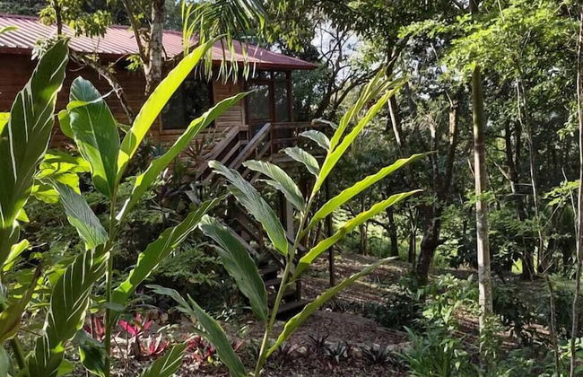 Santa Cruz Cabins - Foto 30