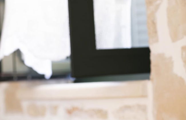 Anemos Studio - Foto 22