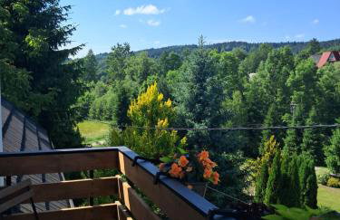 Agroturystyka Jagodowa Róża - Maria Farganus - Foto 69