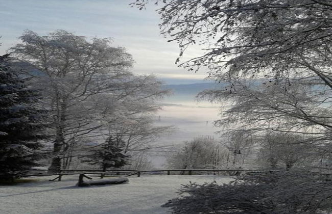 Alpine Comfort Stay, Cavalese - Foto 38