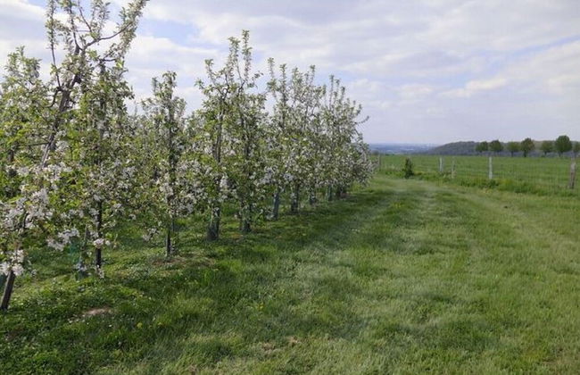 Welcoming Apartment near Town Center in Mesch - Foto 28