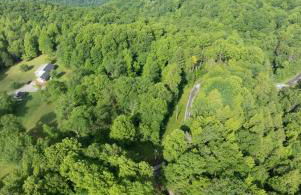 Beauty Mountain Hideaway - Secluded - New River Gorge National Park - Foto 56