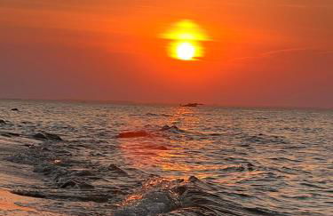 Lobster im Nauticum - Foto 19