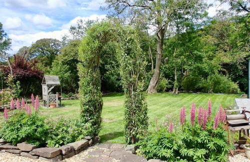 Brecon Boutique Breaks Wild Land - Foto 12