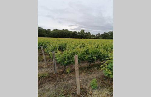 LE COTTAGE DES SABLONS près du zoo de Beauval - Foto 15