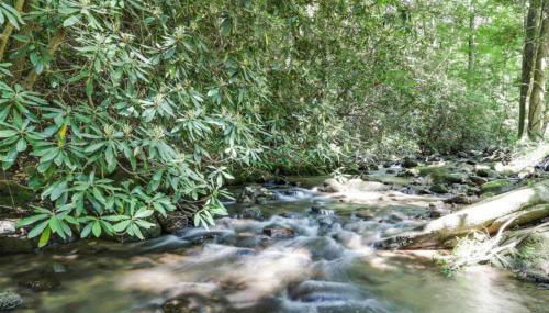 Open Studio Lodge at Little Rock Creek - Foto 2