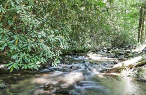 Open Studio Lodge at Little Rock Creek - Foto 2