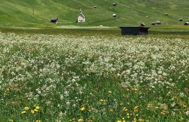 Mascherhof - Foto 77