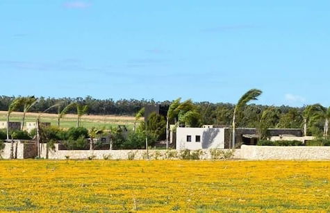 Koheilan Oriental Lodge Farm - Photo 27