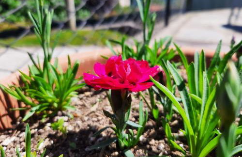 B&B Garzola - Foto 76