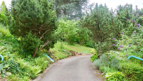 GITE PASQUIER - Foto 4, Garden, Garden view
