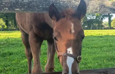 Maison de charme - Foto 19