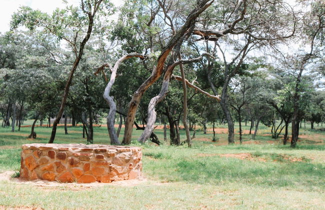 Buyskop Lodge - Foto 61