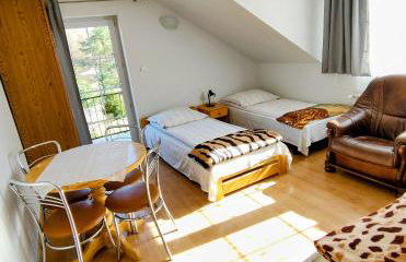 Agrokrysia - Foto 13