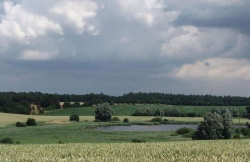 Pongratz Comfortable holiday residence - Foto 21