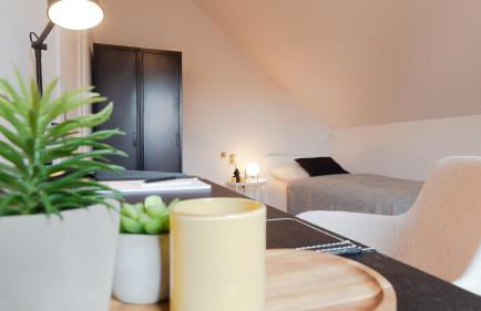 Stilvoll Wohnen in der kaiserlichen Post - Foto 9