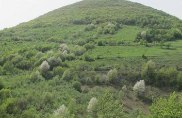 Apartments Nena - Foto 25