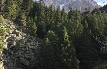 Skis aux pieds IN-OUT, Linge inclus, Parking et WIFI gratuits, proche du centre et tout confort, Mont Vallon Lodge Méribel Mottaret - Foto 32