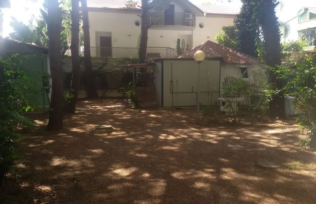 Parco delle Viole - Foto 39