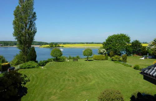 Seeschwalbe - Foto 17