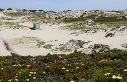 Kalumi Aparthotels - Japandi-Style Apartments with Terrace, Pergola, and Portuguese BBQ - Foto 56