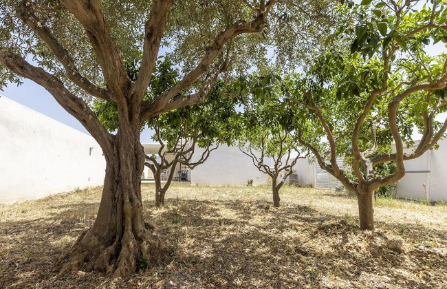 Holiday Home Near Stagnone Lagoon Marsala - Foto 36