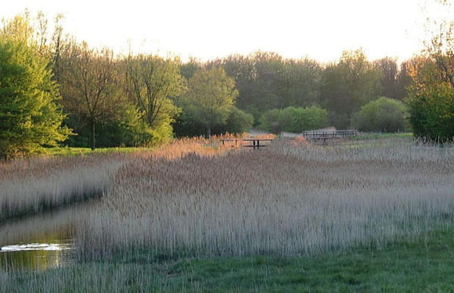 Luxury Lodge nr Beach - Photo 35