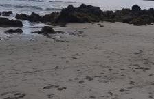 Um quarto da Casa Do Monte - Photo 78