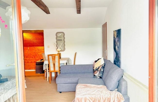 7 private Rooms in a spacious Villa - Foto 62