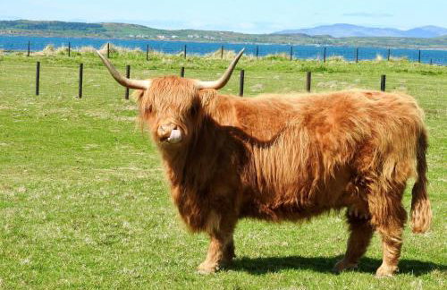 Blaeberry Cottage - Foto 22