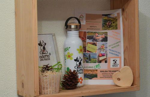 Appartamento BUCANEVE - Foto 27