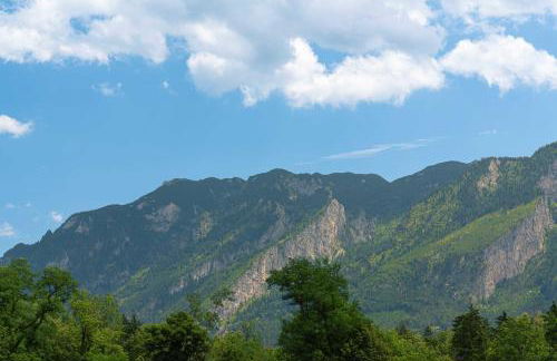 Ferienwohnung Untersbergblick Piding - Foto 26