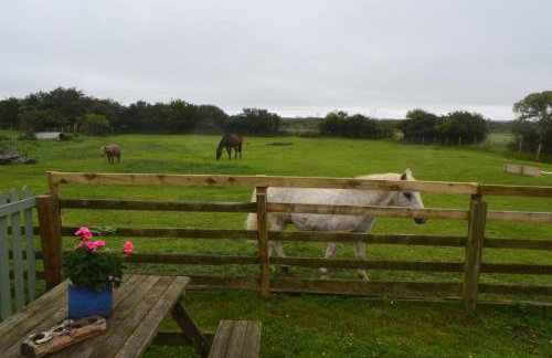 Stunning Barn Conversion next to Horse Field sleeps 10 - Foto 11