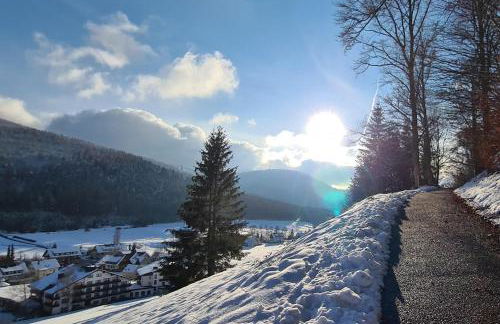 Rückzugsort mit Bergblick in Baiersbronn-Obertal - beheizter Wintergarten & kostenfreier Parkplatz - 70qm Ferienwohnung - Foto 23