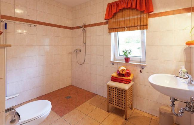 Sachsischer Wald Ruckzug - Foto 17