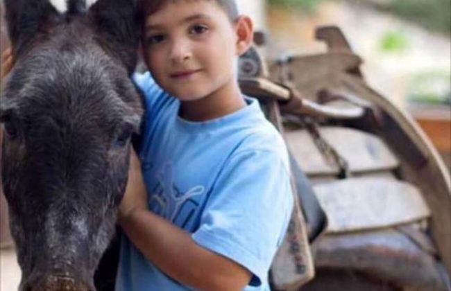 Stone Village - Photo 24