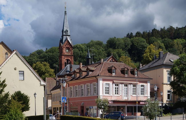 House Near Vosges Park and La Petite Pierre - Foto 30
