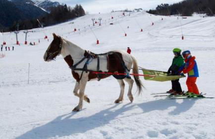 Charmant appartement cosy, terrasse proche des pistes et du centre du village - WIFI gratuit - Foto 23