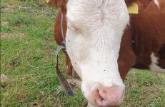 Casa Giuly Vacanze - Foto 35